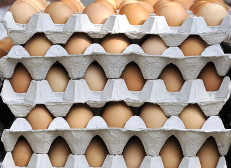 Fresh eggs in their carton at the supermarket