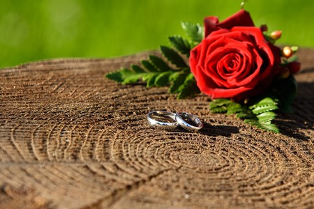 Wedding rings with rose with a narrow depth of field.の写真素材