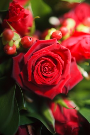 Bouquet of roses ready for the brides wedding day.の写真素材