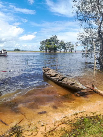Wooden boat on the shore of the lake in the morning. Amazon rainforest, Brazilのeditorial素材