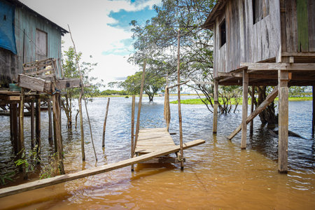 Wooden houses on stilts in a tropical river, Brazilian Rainforest,  Amazon riverのeditorial素材