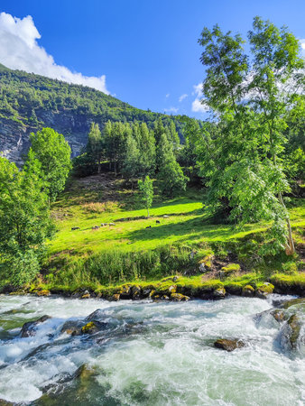 Mountain landscape with a river and green forest. Norway, Scandinaviaの写真素材