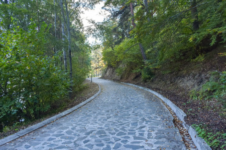 Paved road in the forest in the fall. Autumn landscape. Berovo, Macedonia.の写真素材