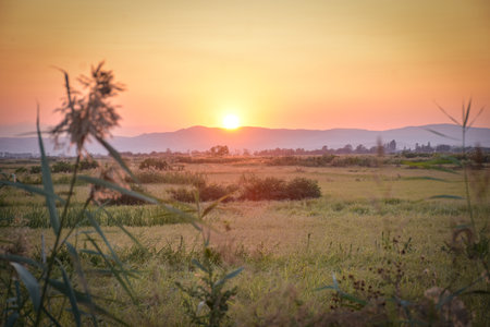 Sunset in the field with grass and mountains in the background. Kocani,  Macedoniaの写真素材