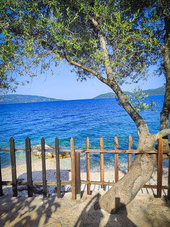 Wooden fence and olive tree on the shore of the  Zakynthos island, Greeceの写真素材