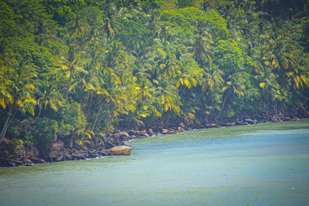 Coastline of tropical island with palm trees, Koh Samui, Thailand