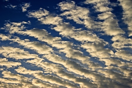 Cloud in the Sky