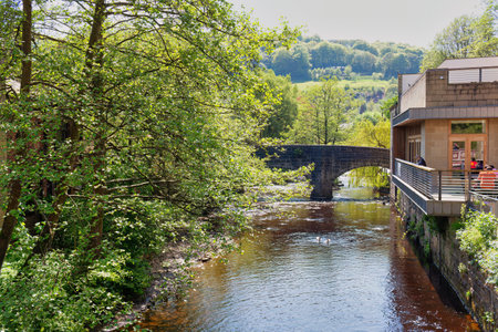 View to the bridge over the river with trees in the background.の写真素材