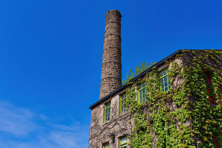 Old brick chimney with green ivy on a blue sky backgroundの写真素材
