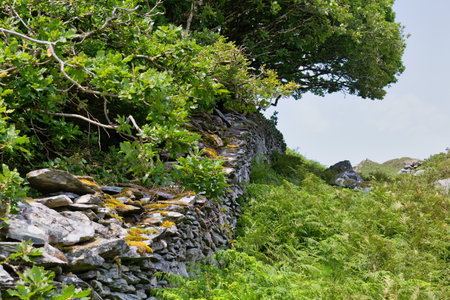 stone wall on a hillside in Barmouth, Wales, UKの写真素材