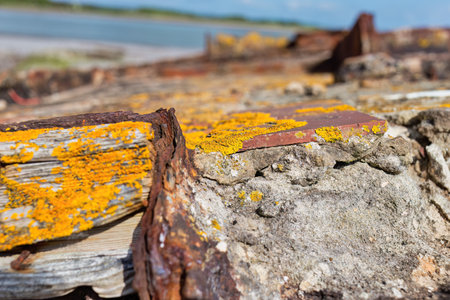 Old ship wreck with yellow and red lichen on the beach in Fleetwood, north-west, lancashire, ukの写真素材