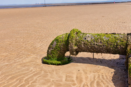 Old rusty water pipe on a sandy beach with green moss in summer in Fleetwood, north-west, lancashire, ukの写真素材