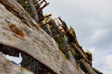 Old wooden ship  overgrown with moss and lichen in Fleetwood, north-west, lancashire, ukの写真素材