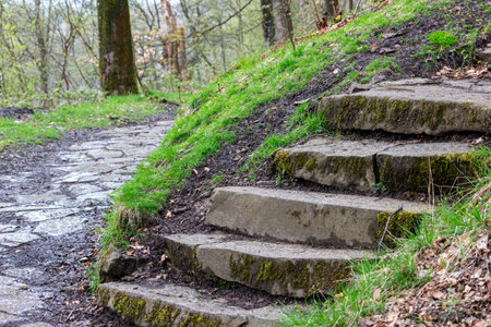 Stone steps in a park in the spring. Landscape photography - japan garden style in Rivington,...