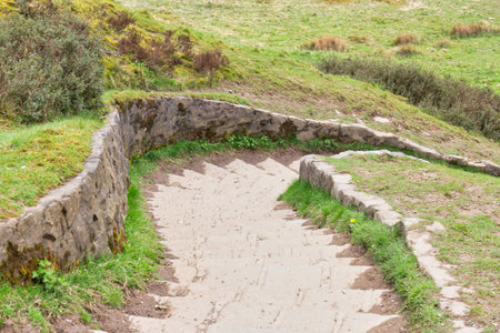 Staircase leading to the top of a hill with green grassの写真素材