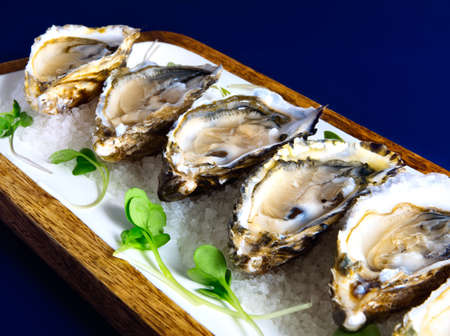 Appetizing dish of fresh oysters served on a bed of crushed ice.の写真素材