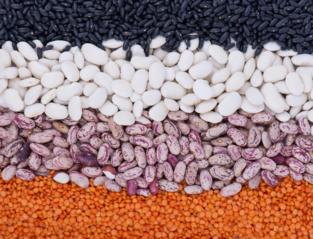 Colorful striped rows of lentils, beans, peas, legumes, seed