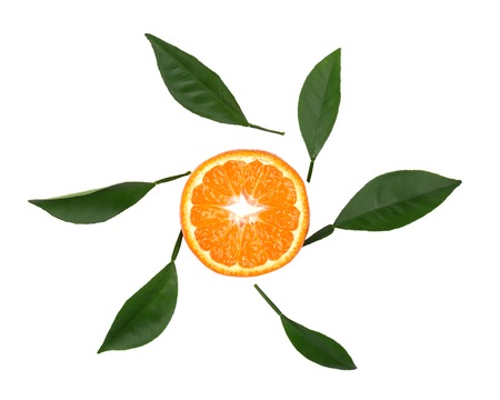 Fresh tangerine with green leaves isolated on white background. Slice of tangerine isolated, with clipping path. Ripe mandarin with leaves. Top viewの写真素材
