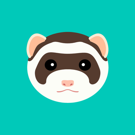 Cute ferret muzzle. Vector flat design illustration.のイラスト素材
