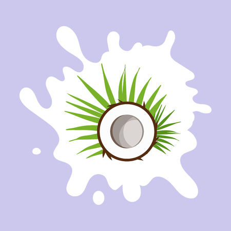 Coconut milk. Coconut on a milk splash. Flat design style. Vector illustrationのイラスト素材