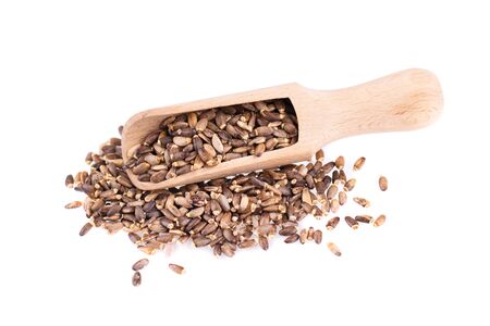 Milk Thistle seed in a wooden spoon, isolated on white background. Silybum marianum, Scotch Thistle or Marian Thistle. Close-upの写真素材