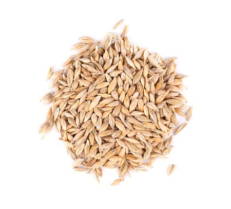 Malted barley grains, isolated on white background. Barley seed close up. Top view. Macroの写真素材
