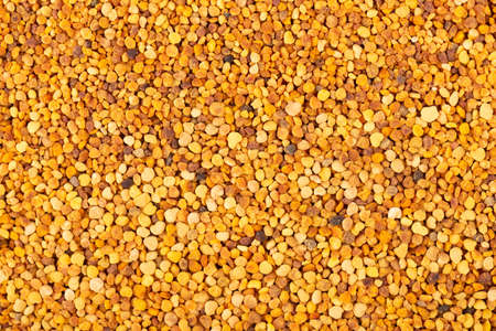 Flower pollen grains background. Pile of bee pollen or pergaの写真素材