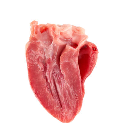 Chicken heart raw isolated on white background. Half fresh chicken broiler heart. Close up.の写真素材