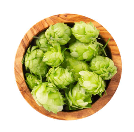 Fresh green hops branch in olive bowl, isolated on a white background. Hop cones with leaf. Organic...