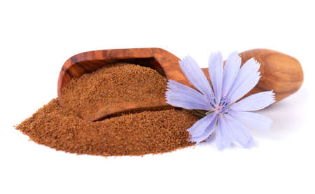 Chicory powder and flower in wooden scoop, isolated on white background. Cichorium intybus.の写真素材