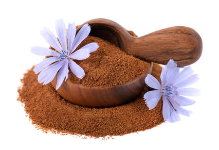 Chicory powder and flower in wooden bowl and spoon, isolated on white background. Cichorium intybus.の写真素材