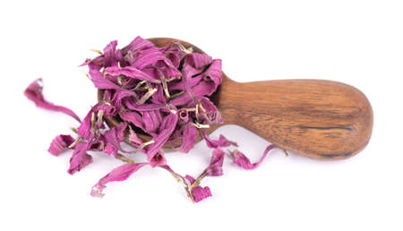 Dried Echinacea flowers in wooden spoon, isolated on white background. Petals of Echinacea purpurea. Medicinal herbs.の写真素材