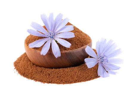 Chicory powder and flower in wooden bowl, isolated on white background. Cichorium intybus.の写真素材