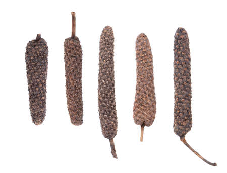 Long pepper isolated on white background. Heap of pippali or piper longum. Top view.の写真素材