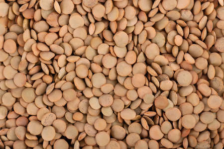 Brown lentils isolated on white background. Dry lentil grain pile. top view