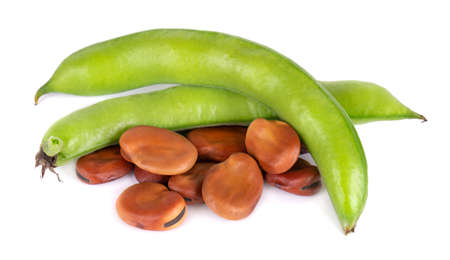 Fresh broad beans in pods, isolated on white background. Dry fava beansの写真素材