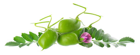 Green chickpeas in the pod with green leaves and flowers, isolated on white background. Cicer arietinum.の写真素材