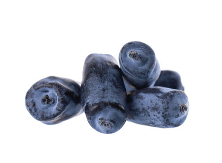 Honeysuckle berry isolated on white background. Fresh honeysuckle blue berry fruits. Clipping path.の写真素材