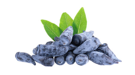 Honeysuckle berry isolated on white background. Fresh honeysuckle blue berry fruits with green leaves. Clipping path.の写真素材