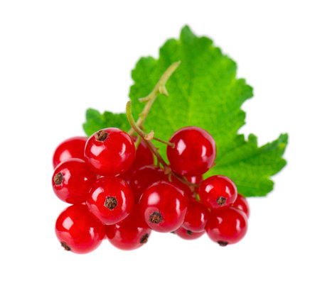 Red current isolated on white background. Redcurrant or Ribes rubrum ripe berries with green leaves