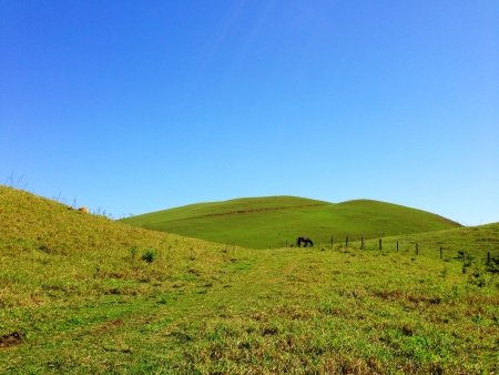 Prairy at a farm in Brazilの素材
