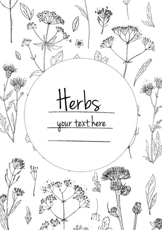 Herbs and flowers painted black line. Space for text. Vector drawing. Template with a sketch of herbs.のイラスト素材