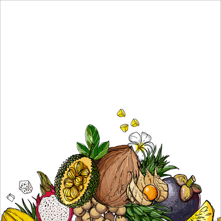 Exotic fruits on a white backgroundのイラスト素材