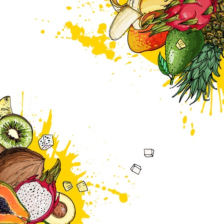 Watermelon, cantaloupe, pomegranate, apricot, persimmon line draのイラスト素材