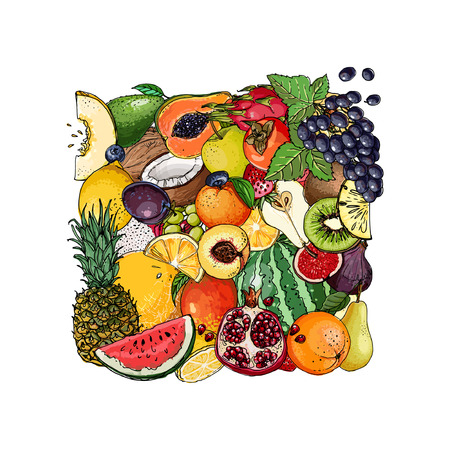 Square of fruitのイラスト素材