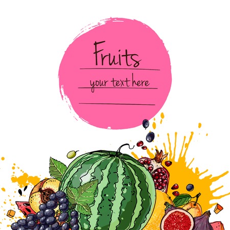 Watermelon, cantaloupe, pomegranate, apricot, persimmon line draのイラスト素材