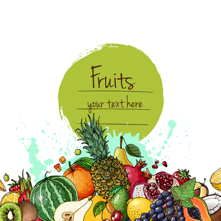 Watermelon, cantaloupe, pomegranate, apricot, persimmon line draのイラスト素材