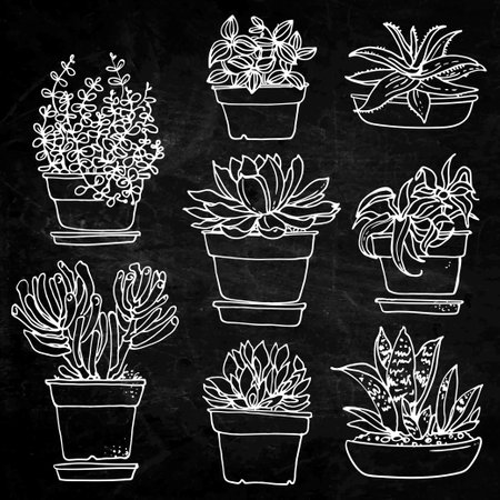 Pattern flowers in pots painted black line on a white background. Vector drawing linesのイラスト素材