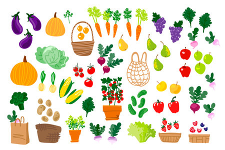 Local food, vegetables and fruits. Vector drawing. Zero packingのイラスト素材