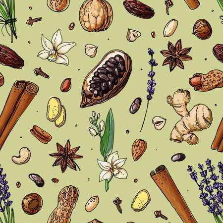 Pattern Nuts and spices line drawn on a white background. Sketch of food. Walnut, cocoa beans, vanilla, Gorica, almonds, hazelnuts, peanuts, aniseのイラスト素材